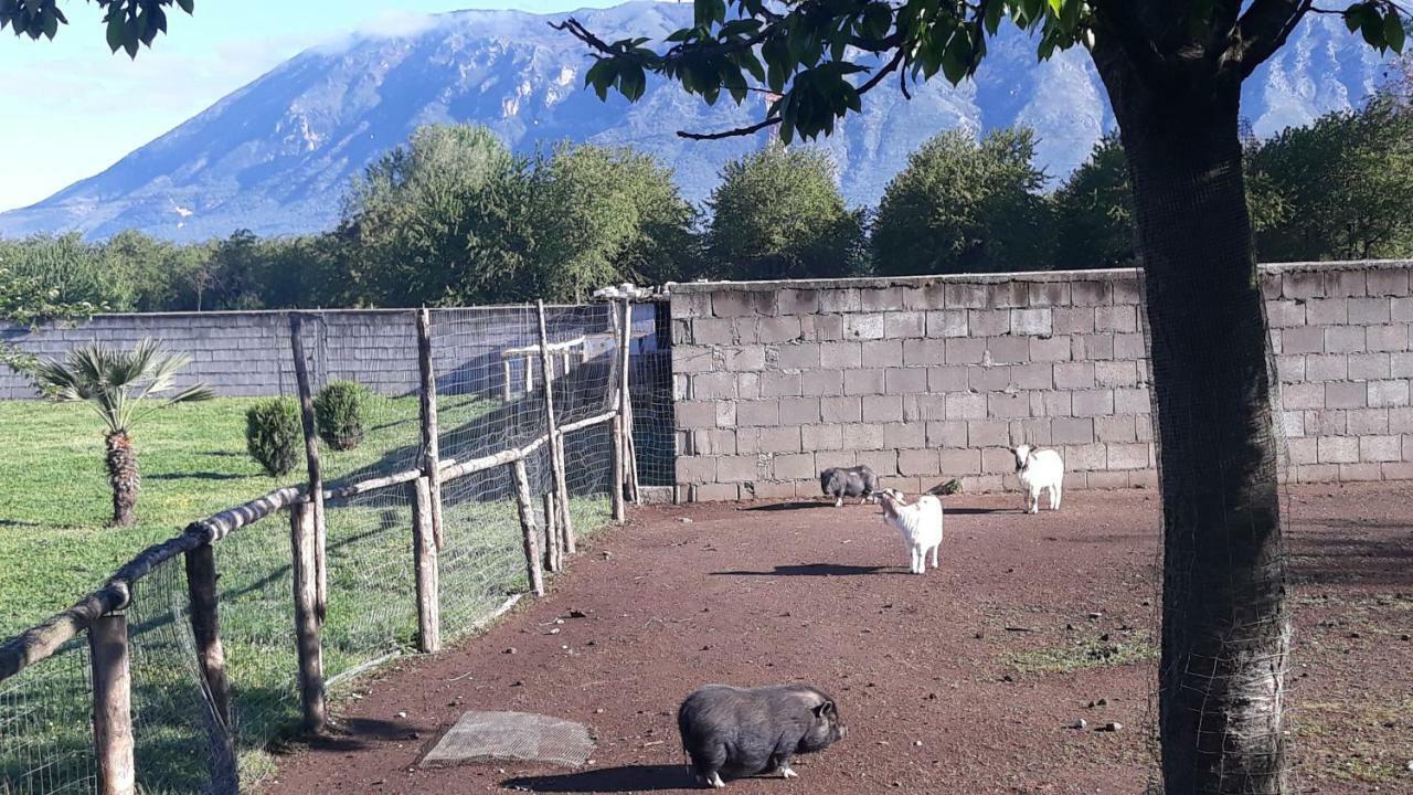 Agriturismo Carlo Cioffi Ξενοδοχείο Rotondi Εξωτερικό φωτογραφία